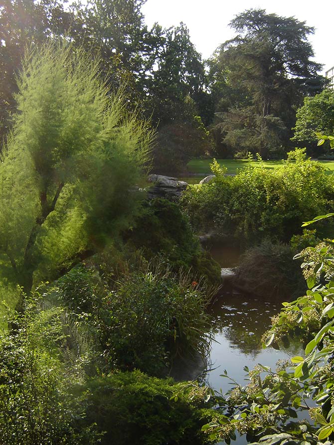 “ L’eau doit satisfaire l’œil et l’esprit ” selon Edouard André. Ici, le jardin des plantes d’Angers